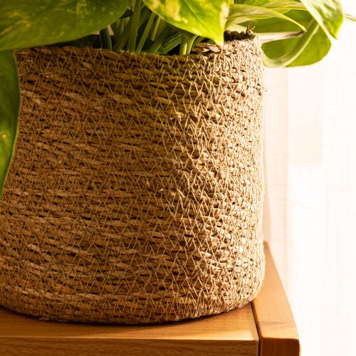 Contenedor Mamushka 25 X 25 cm