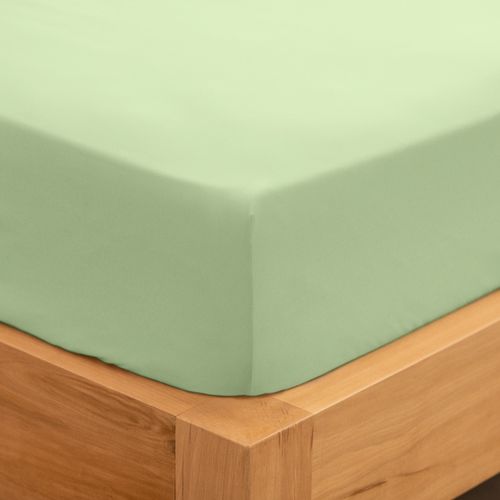 Sábana Ajustable Queen Algodón Blend Lisa