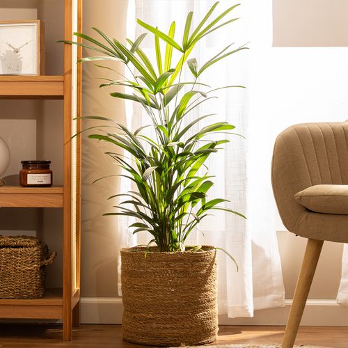 Contenedor Mamushka 28 x 28  cm