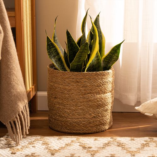 Contenedor Mamushka 25 x 25 cm