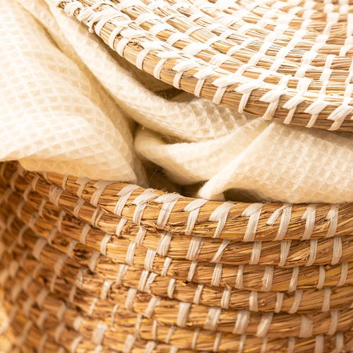 Contenedor Grande Cilindro con Tapa